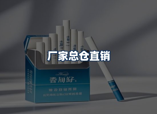 专业团队办公环境